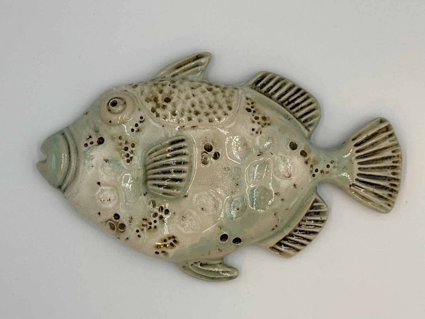 Trigger fish
