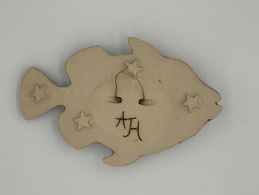 Trigger fish