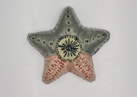 Sea star 1