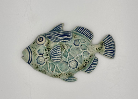 Trigger fish