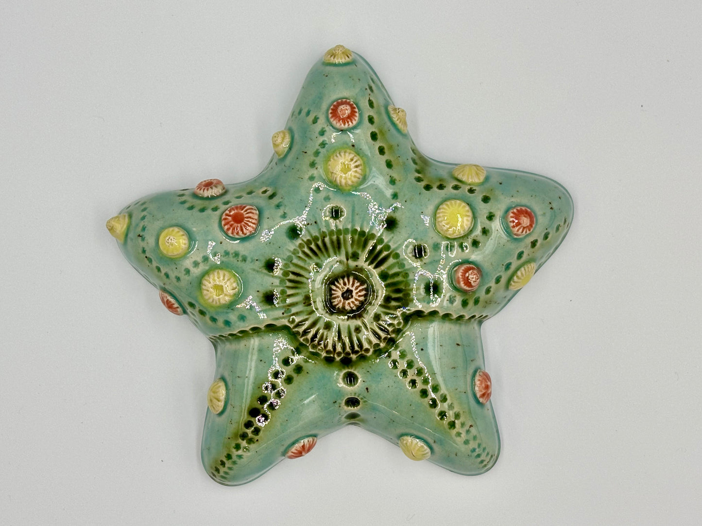 Sea star 2