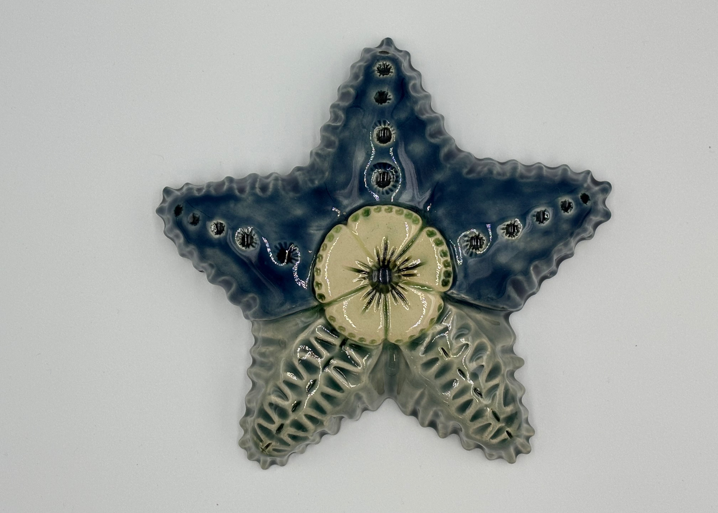 Sea star 1
